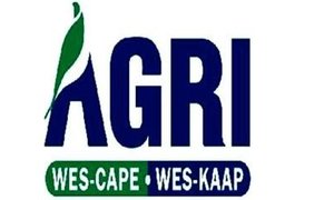 PERSPEKTIEF OOR BEPLANDE STAKINGS IN WES-KAAP